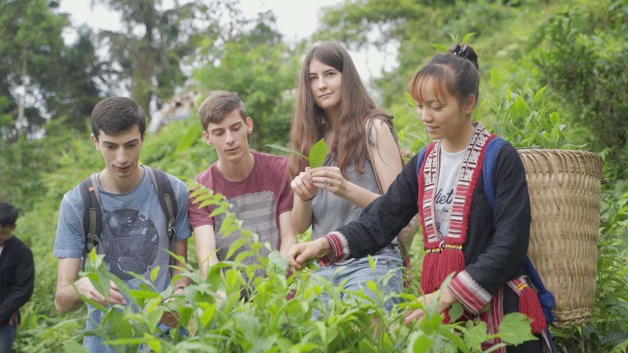 Hoang Su Phi Lodge Ha Giang Eksteriør bilde