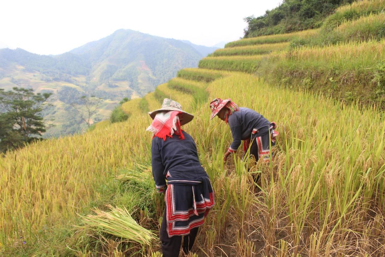 Hoang Su Phi Lodge Ha Giang Eksteriør bilde